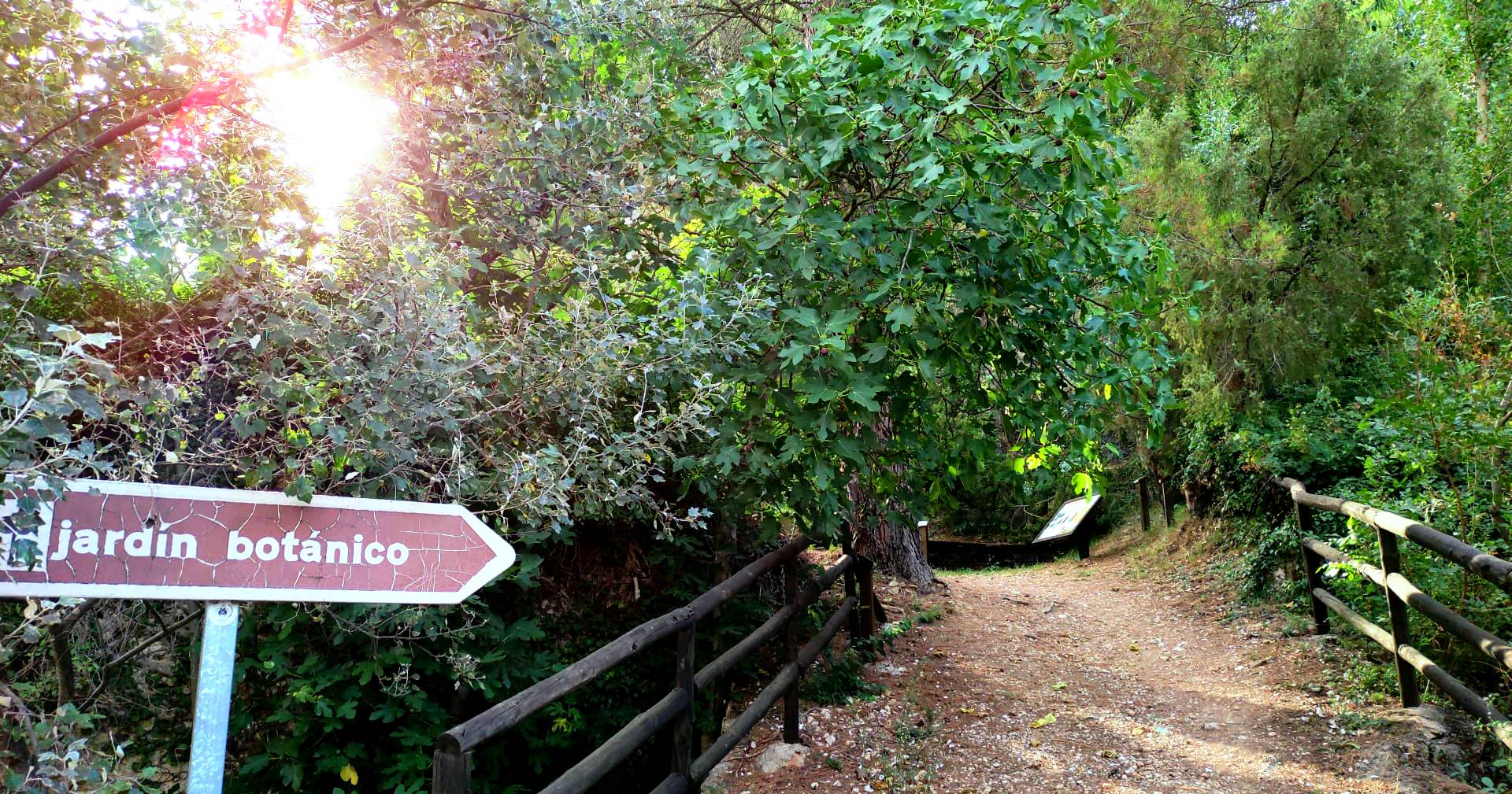 Jardín Botánico de Ráfales